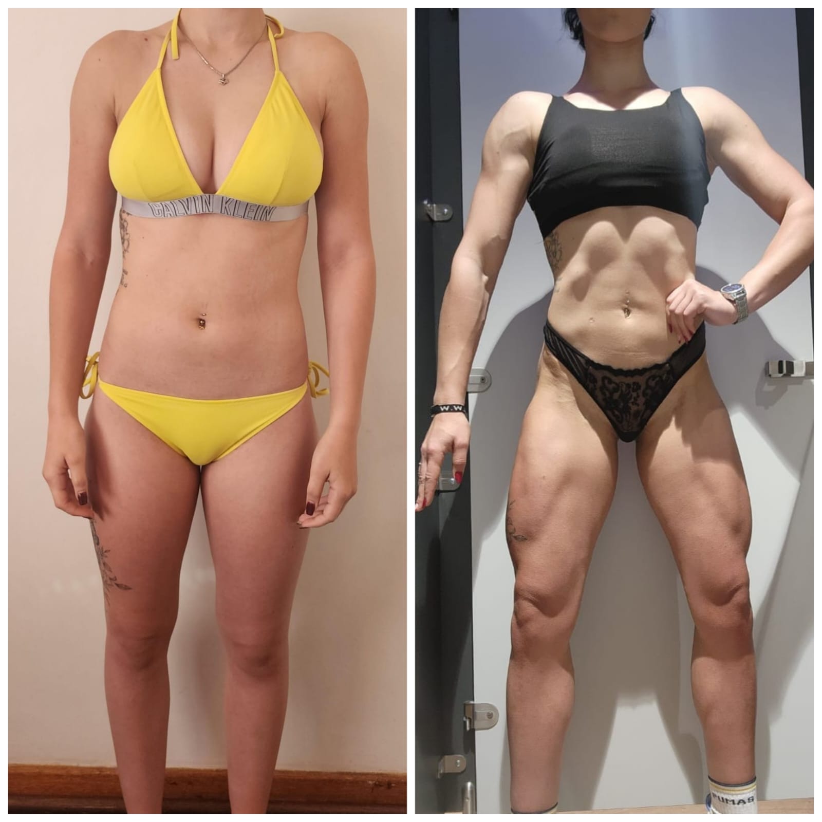 Vene — Lean Build · 24 weeks