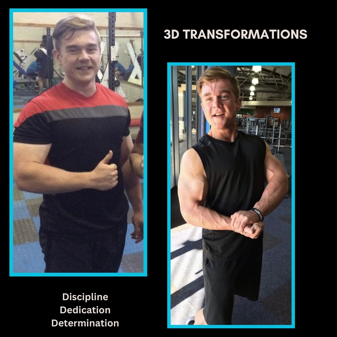 TJ Hall — Lean Bulk · 12 months